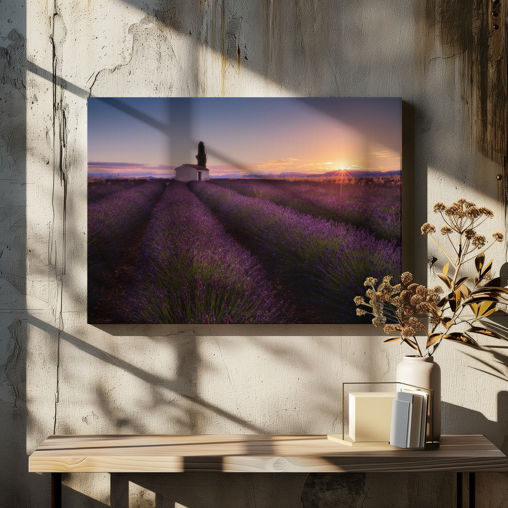 Provence Lavendel | Canvas