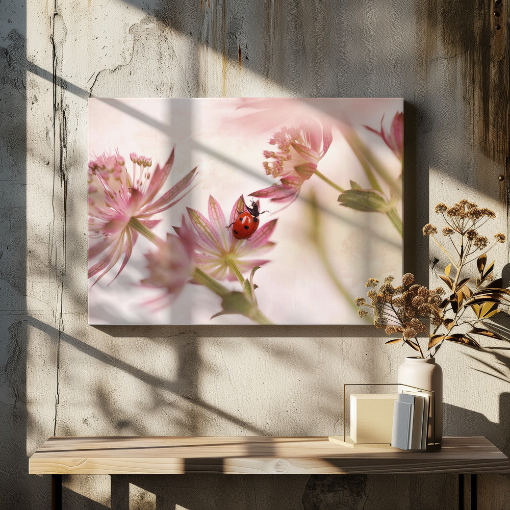 Lieveheersbeestje en roze bloemen | Canvas