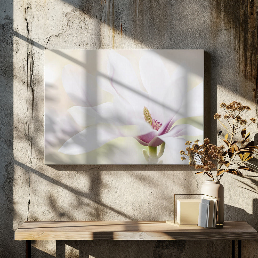 Zuiverheid | Canvas