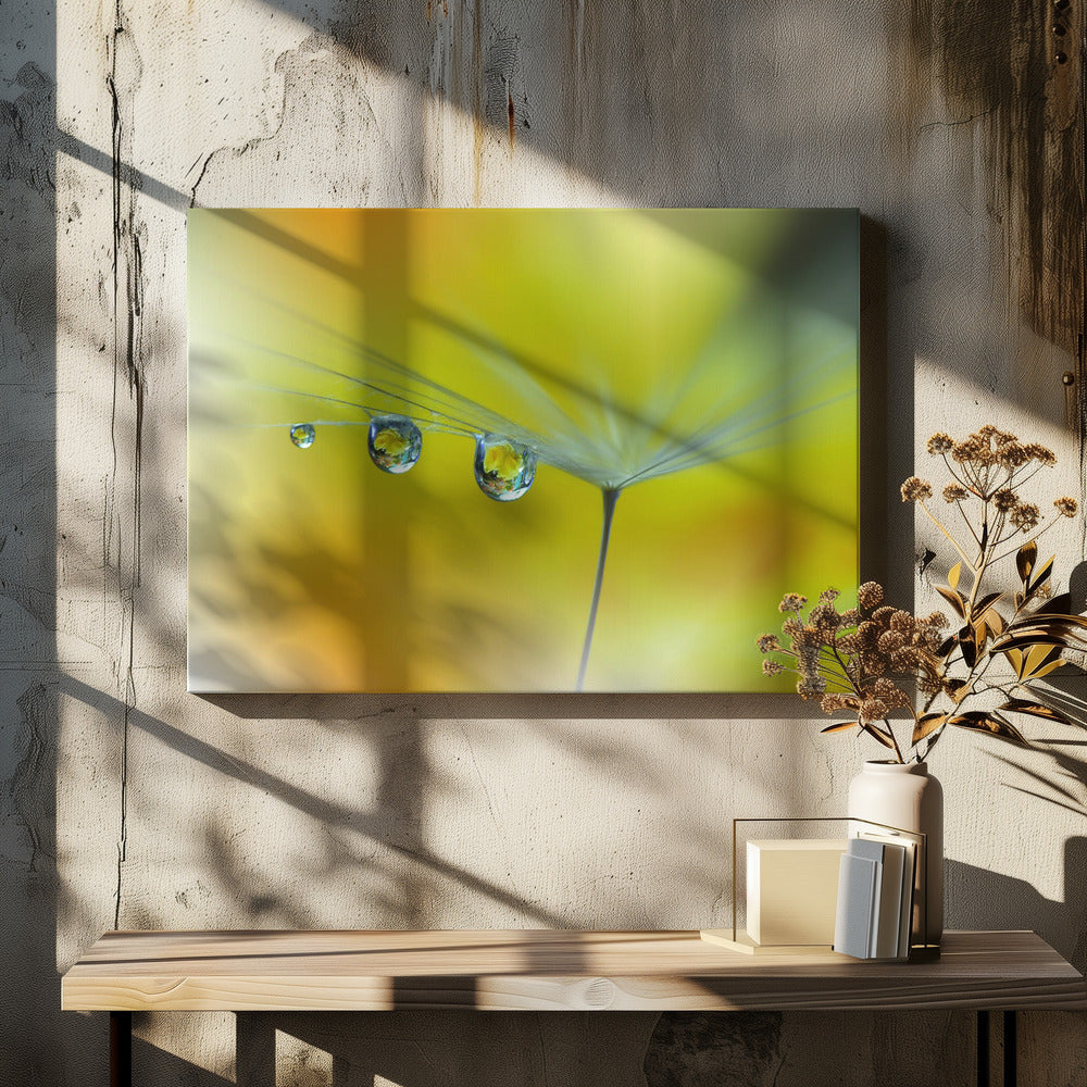 Zonnestraal...III | Canvas