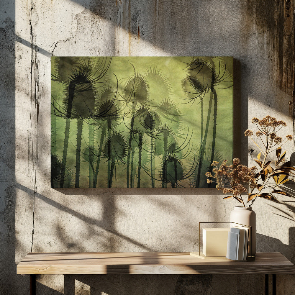 Wilde Kaardebol | Canvas