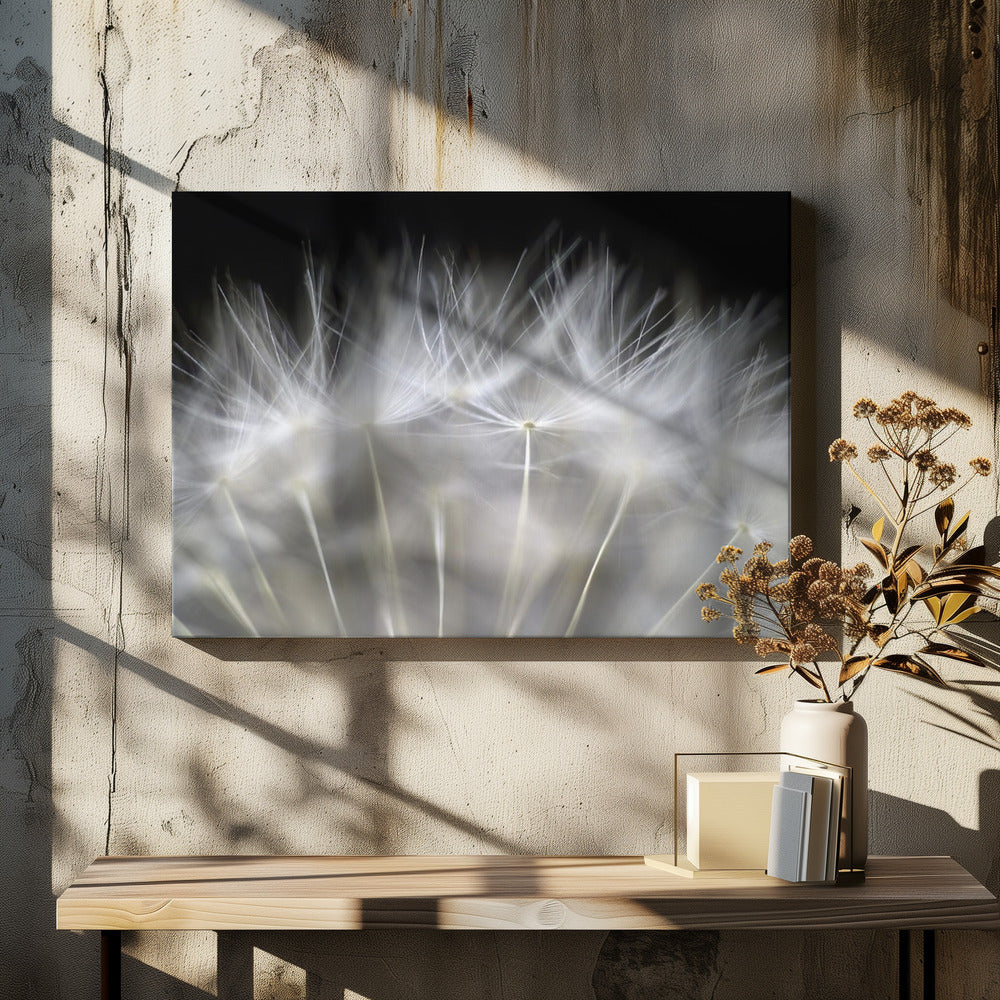 Blaas het op | Canvas