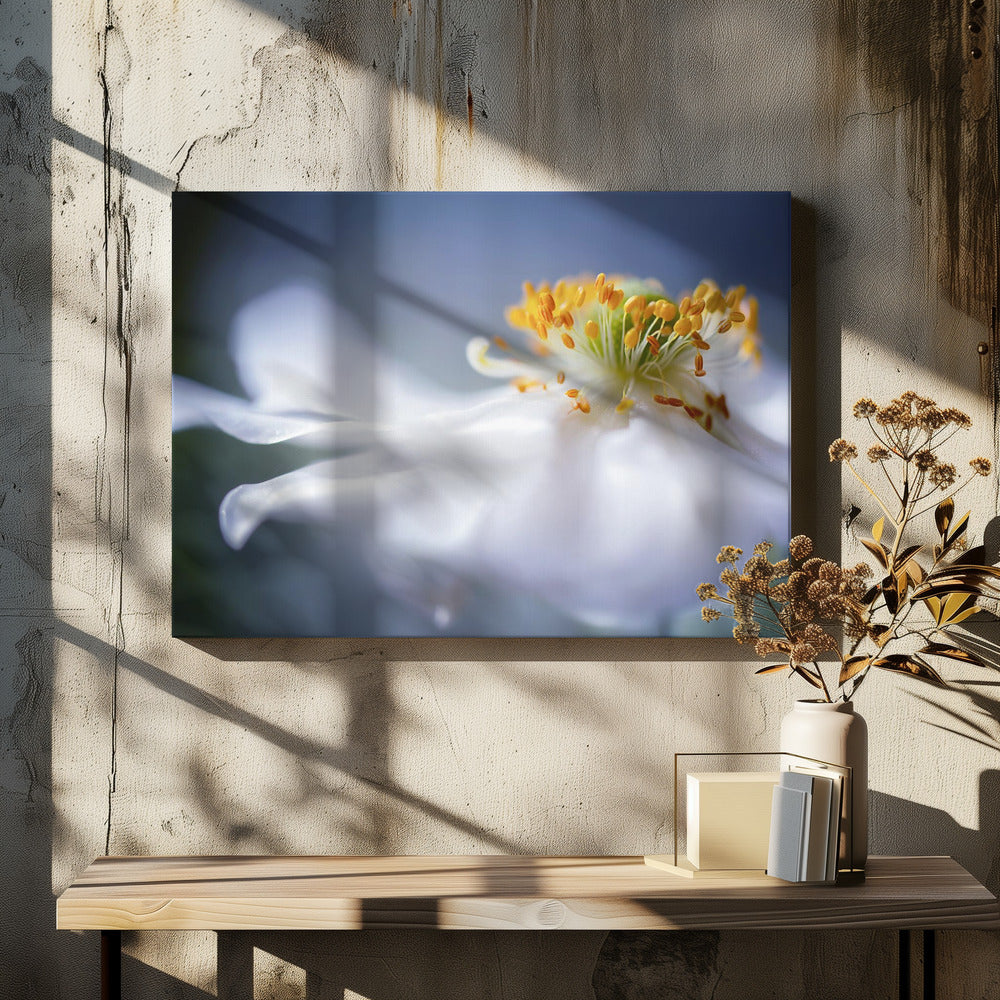 Anemoon 1 | Canvas