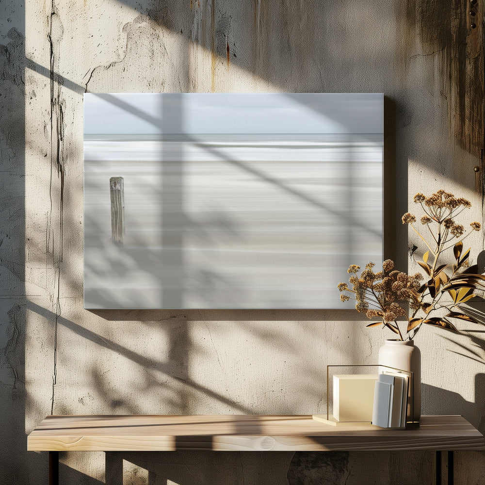 Steadvast | Canvas