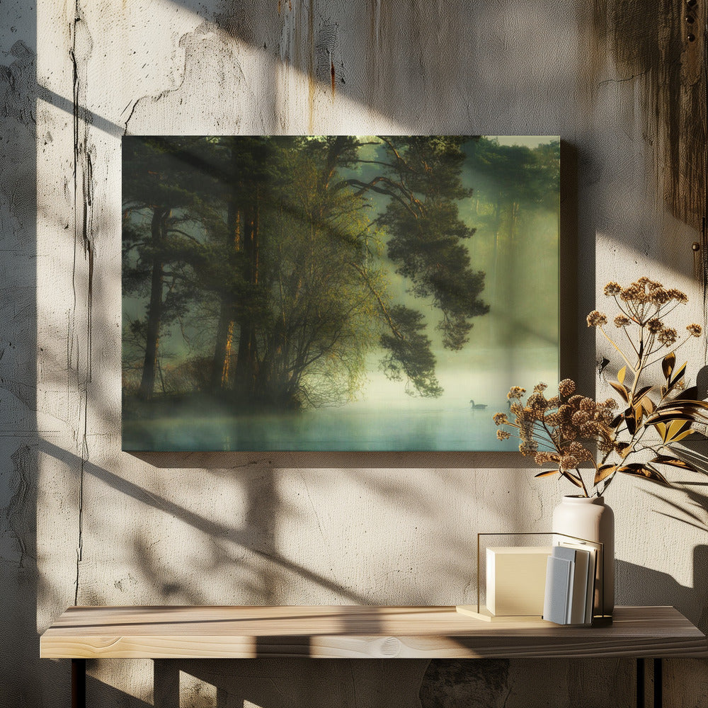 Hollands ven | Canvas