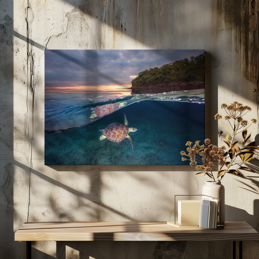 Groene schildpad met zonsondergang | Canvas