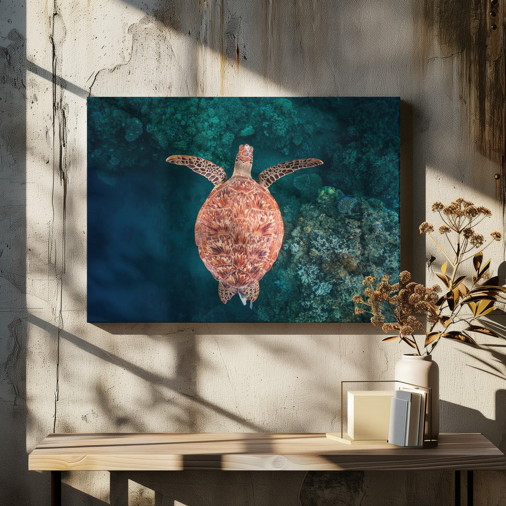 Vliegen over het rif | Canvas