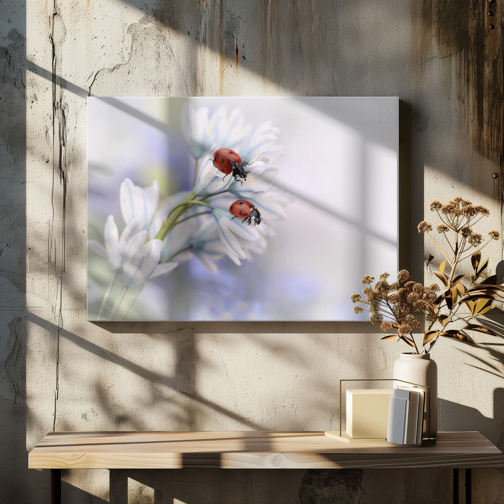 Lieveheersbeestjes | Canvas