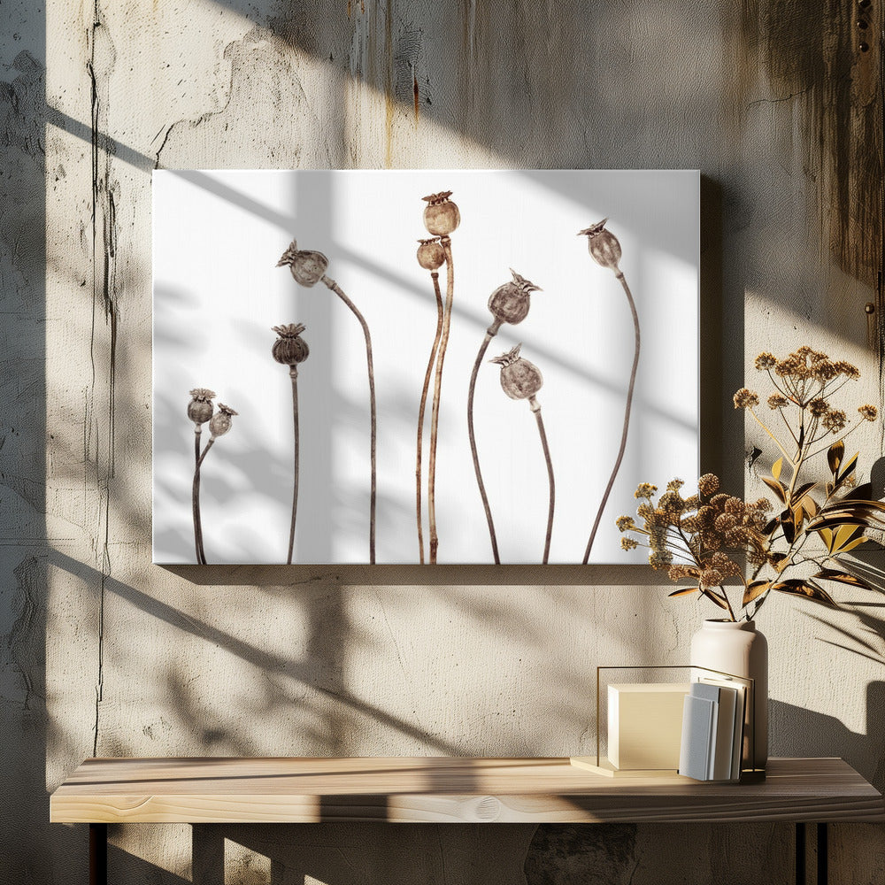 Klaprozen | Canvas