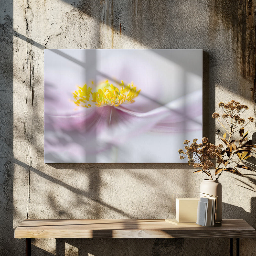 Anemoon | Canvas