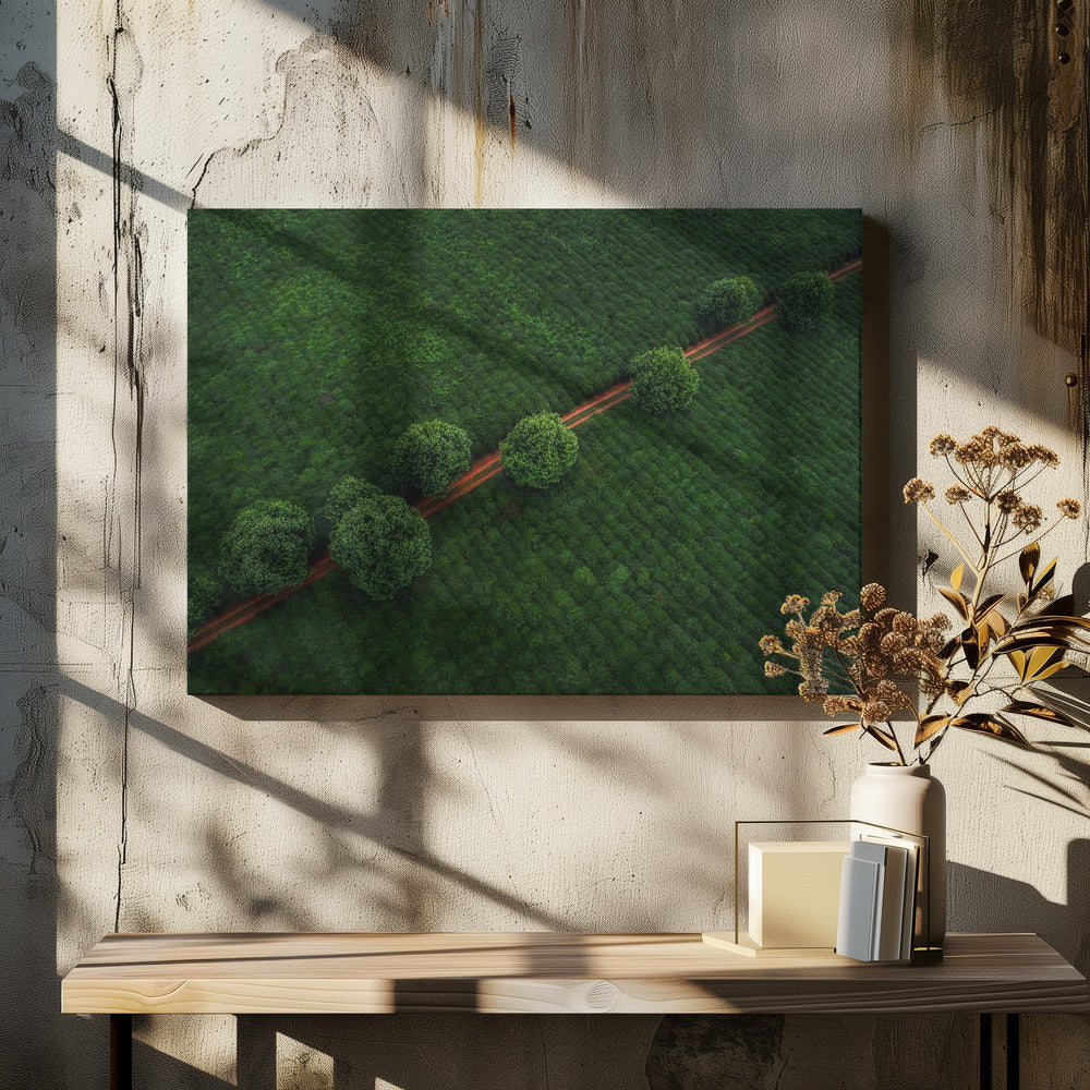 Groene Parels | Canvas