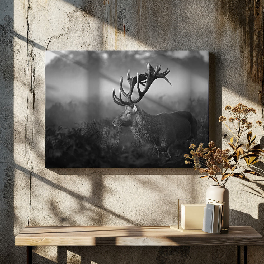Zonnige ochtend | Canvas