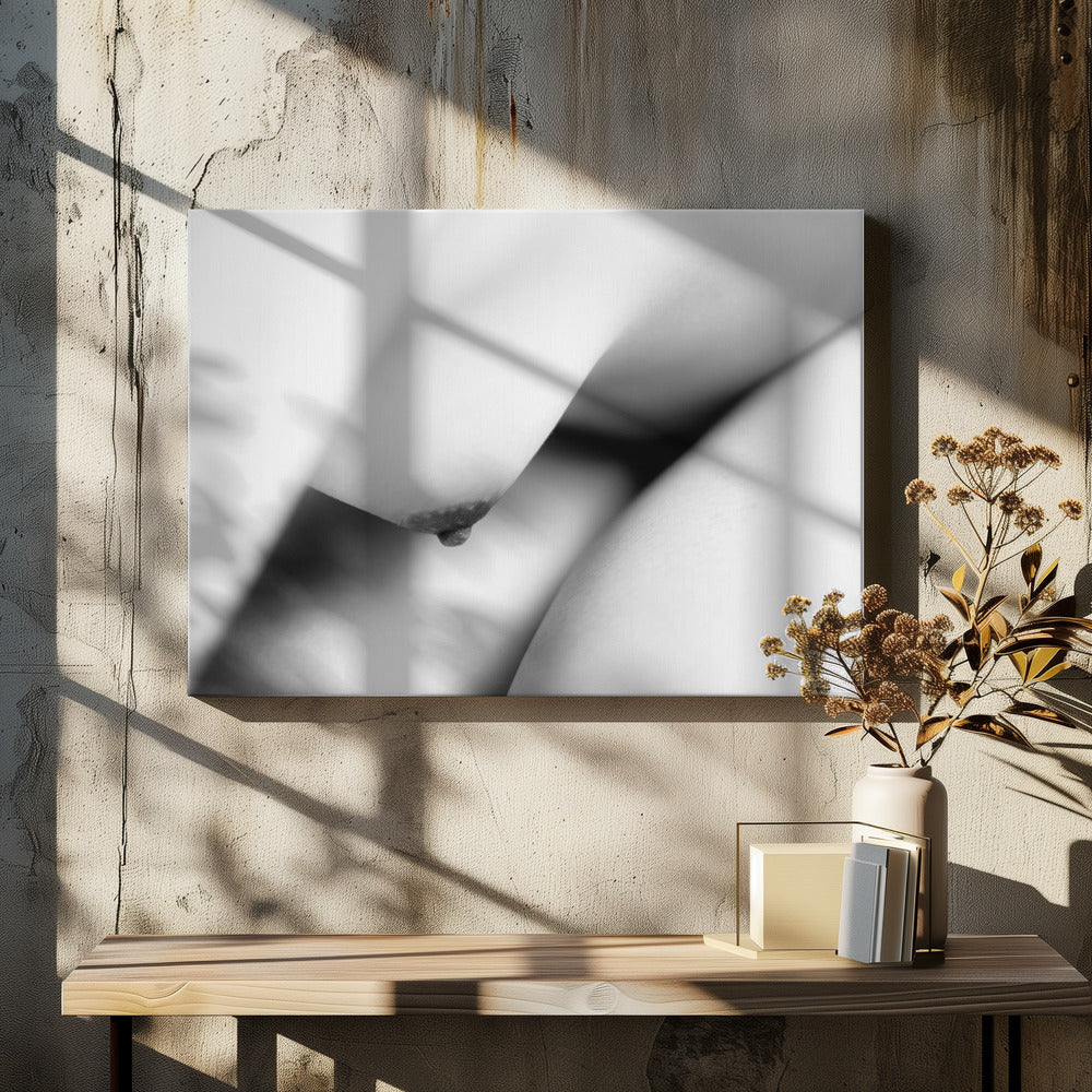 Het lichaam | Canvas