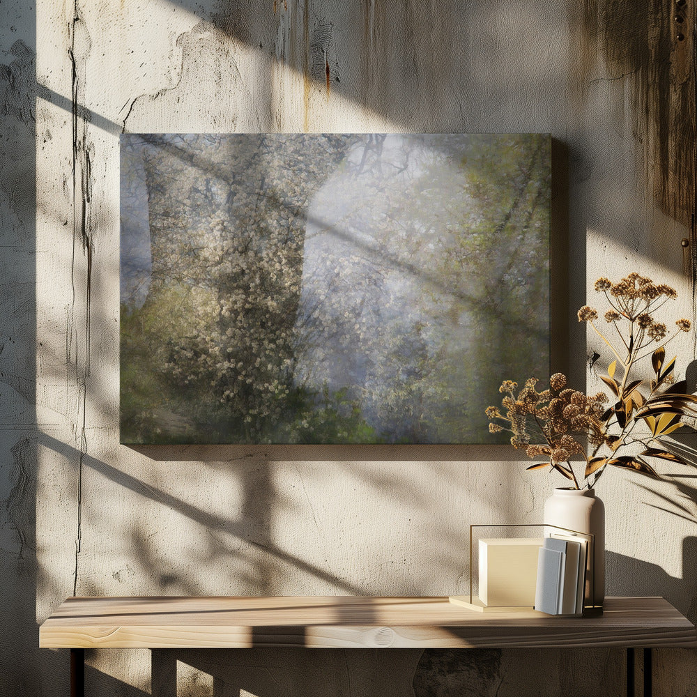 Bloesem | Canvas