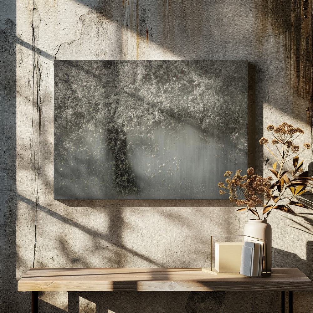 Witte bloesem | Canvas