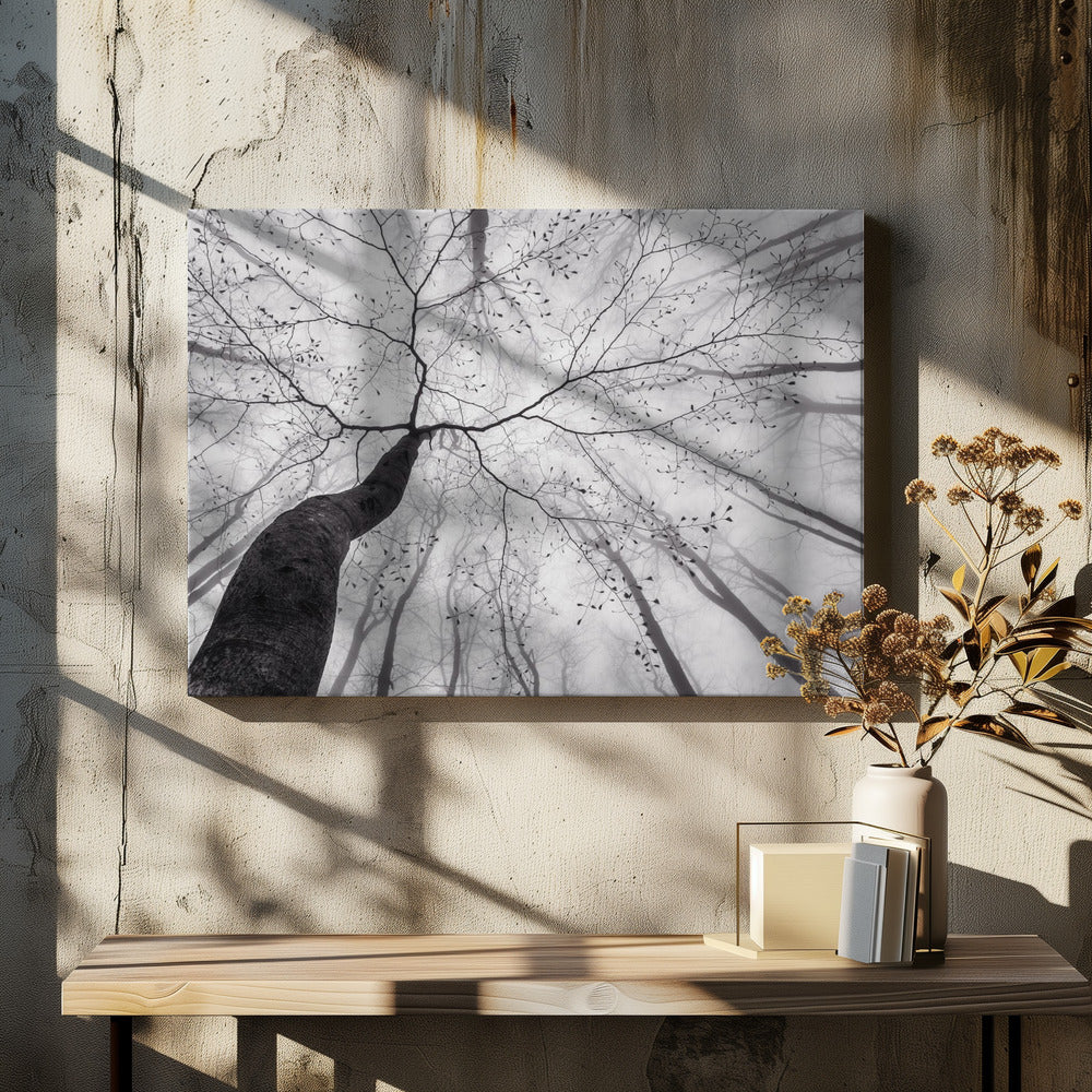 Een blik op de boomkroon | Canvas