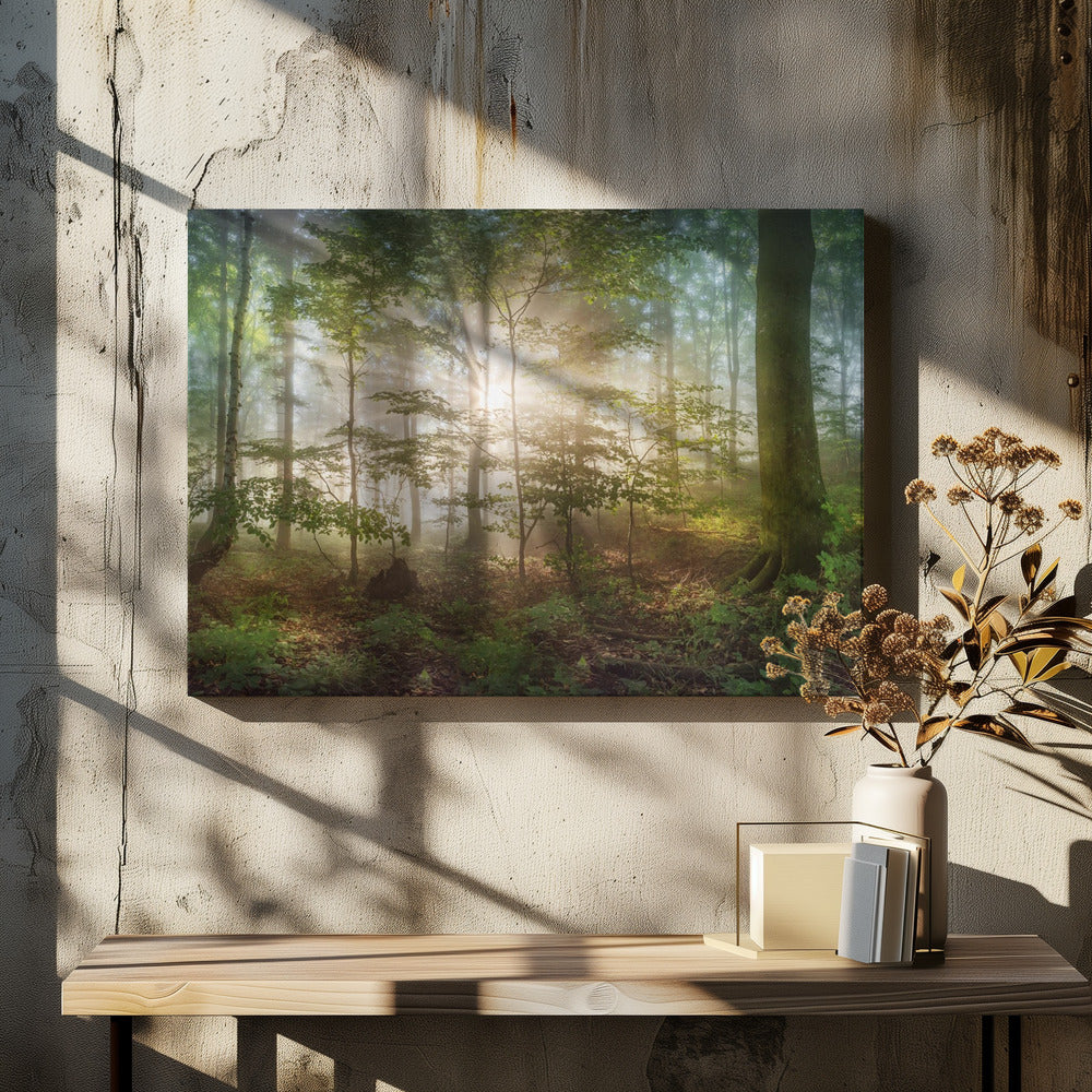 ochtendzon | Canvas