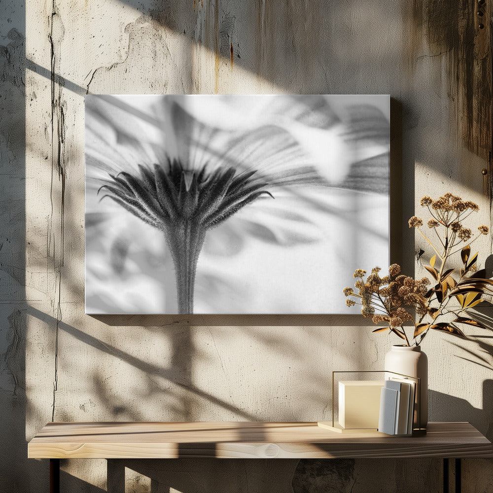 Aangeraakt | Canvas