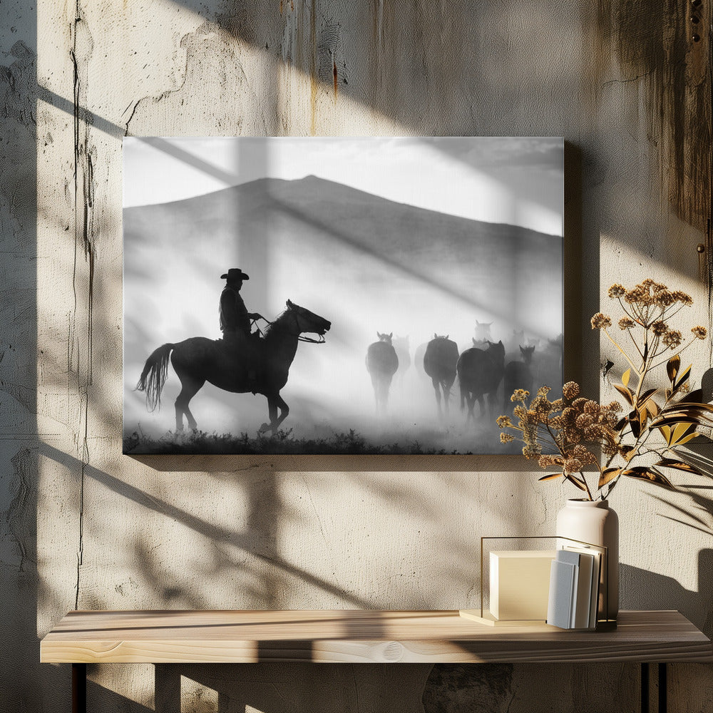 Zijn territorium! | Canvas