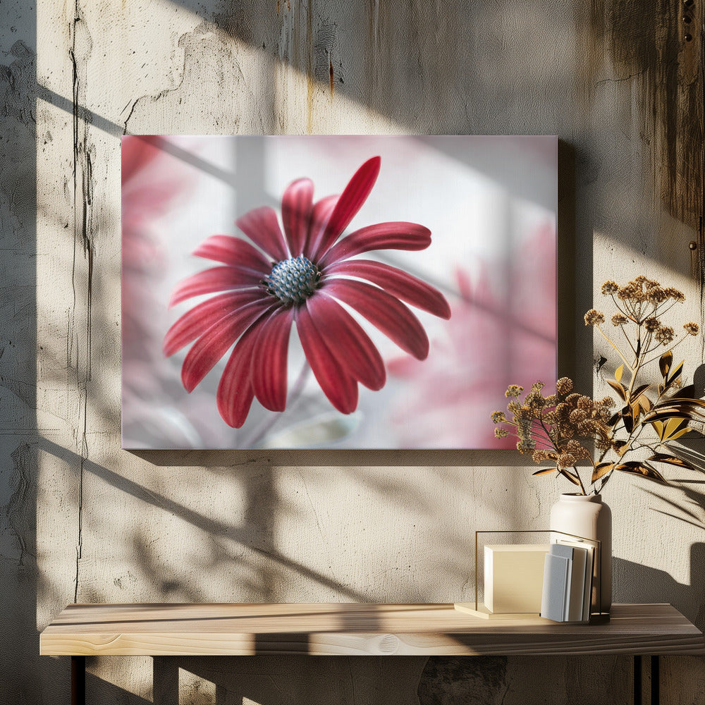 Madeliefje | Canvas