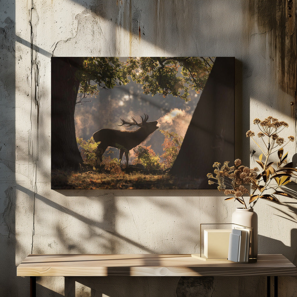 He Waits in the Shadows | Canvas