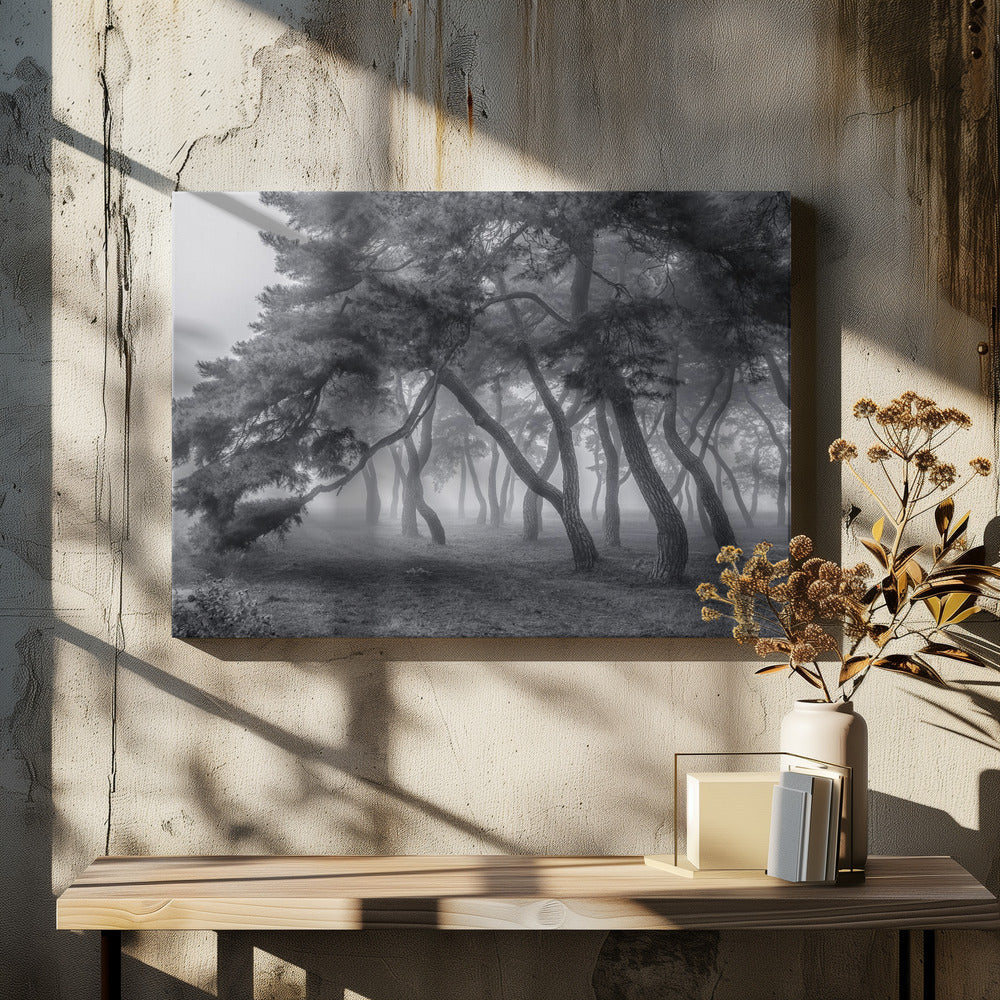 Altijd | Canvas