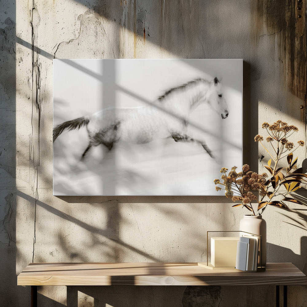 De unieke penseelstreek | Canvas