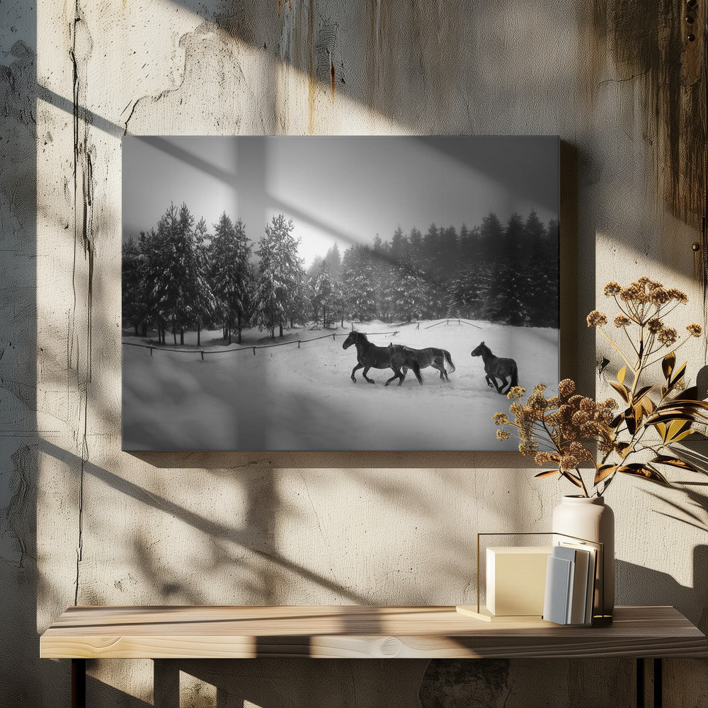 Untitled | Canvas