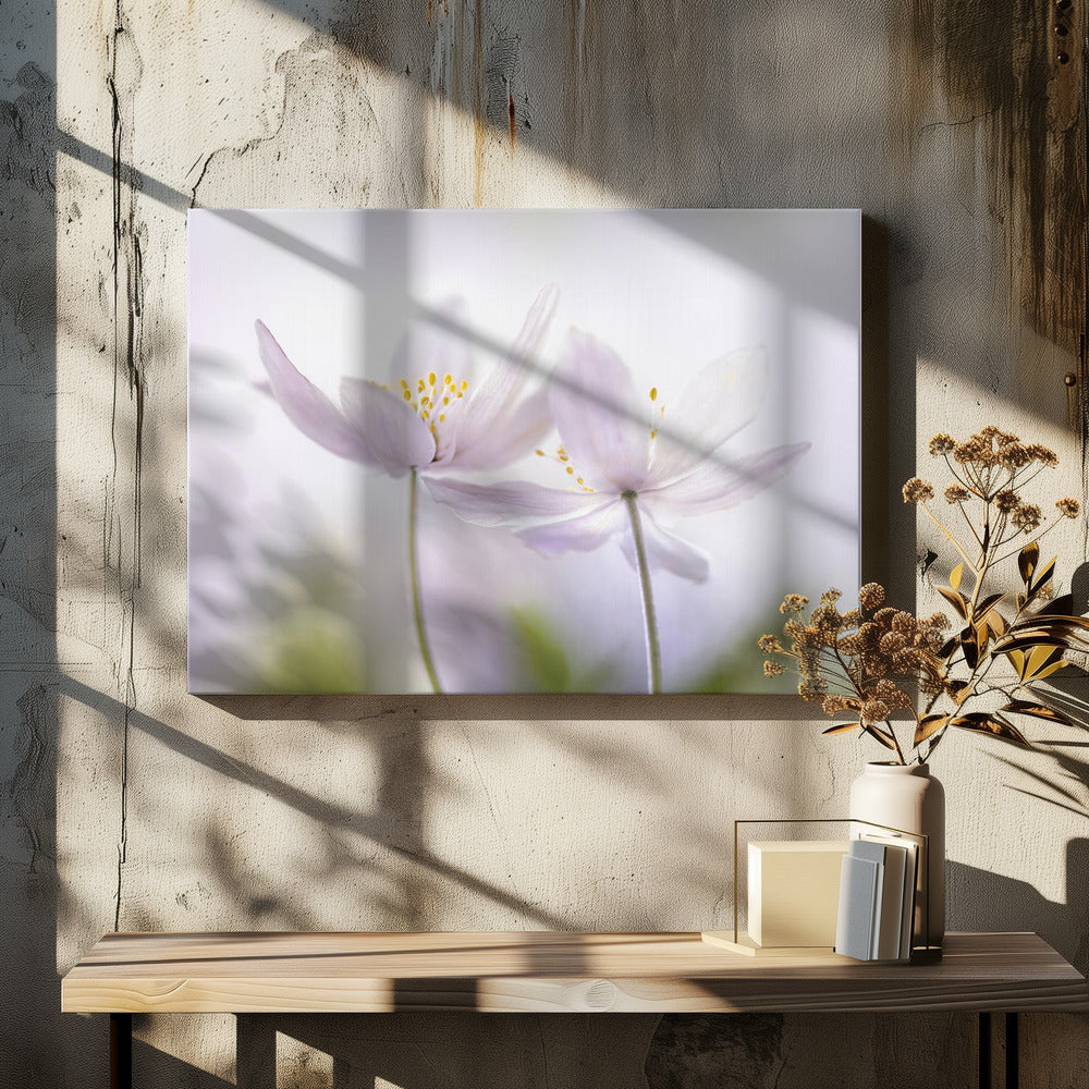 ~Nemorosa~ | Canvas