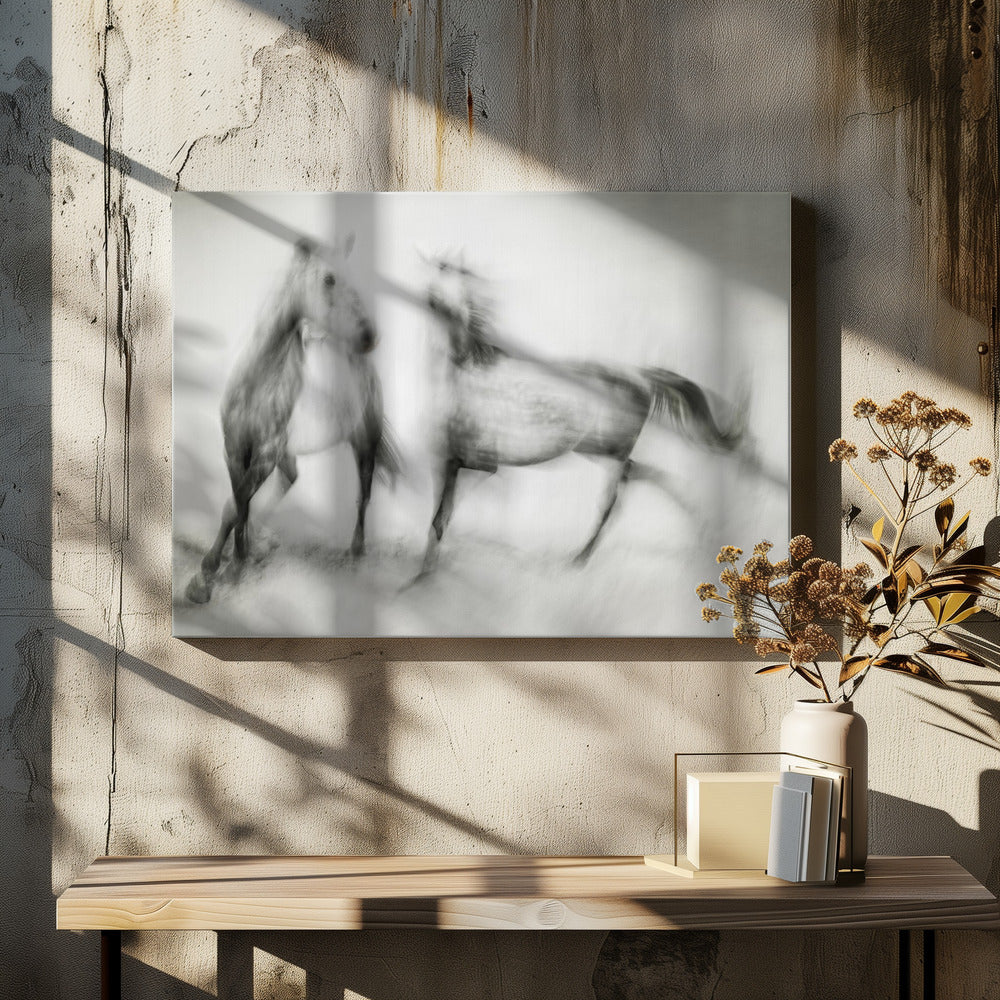 Rillingen | Canvas