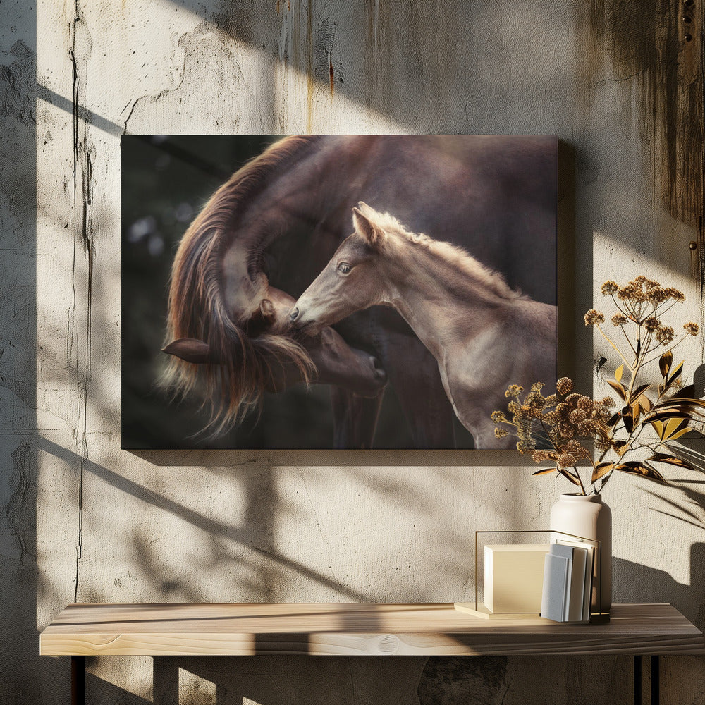 De Bond | Canvas