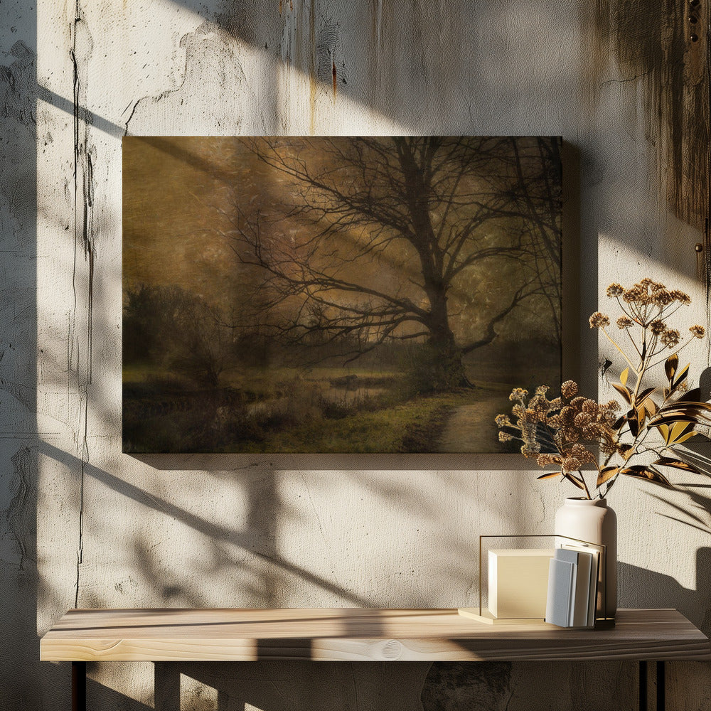 Oude boom | Canvas