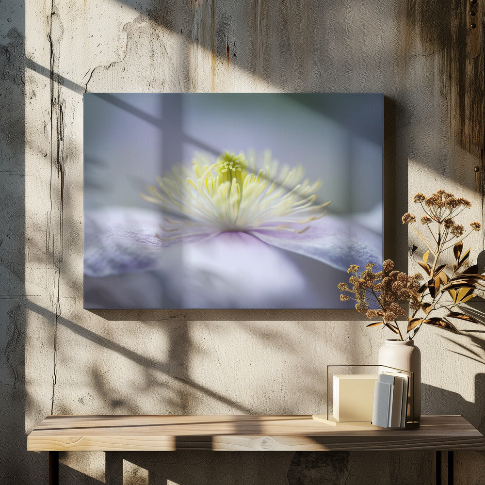 Mayleen | Canvas