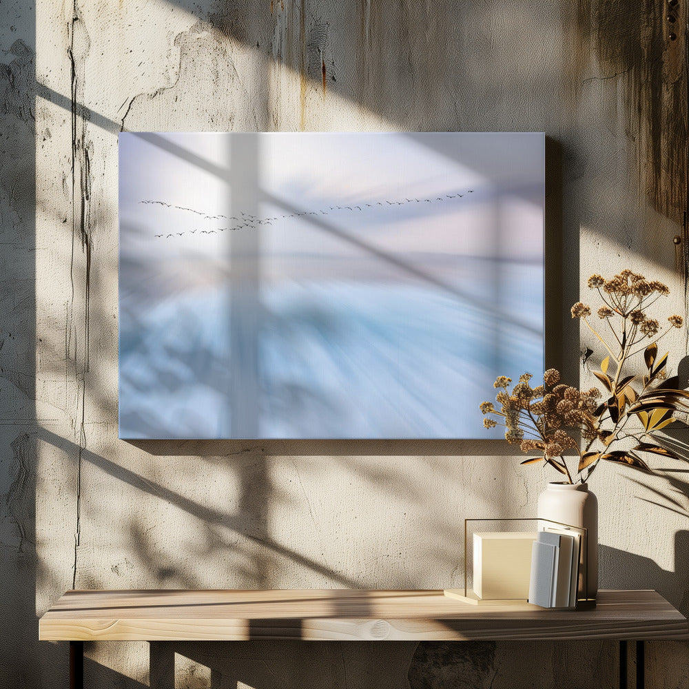 overvliegen | Canvas