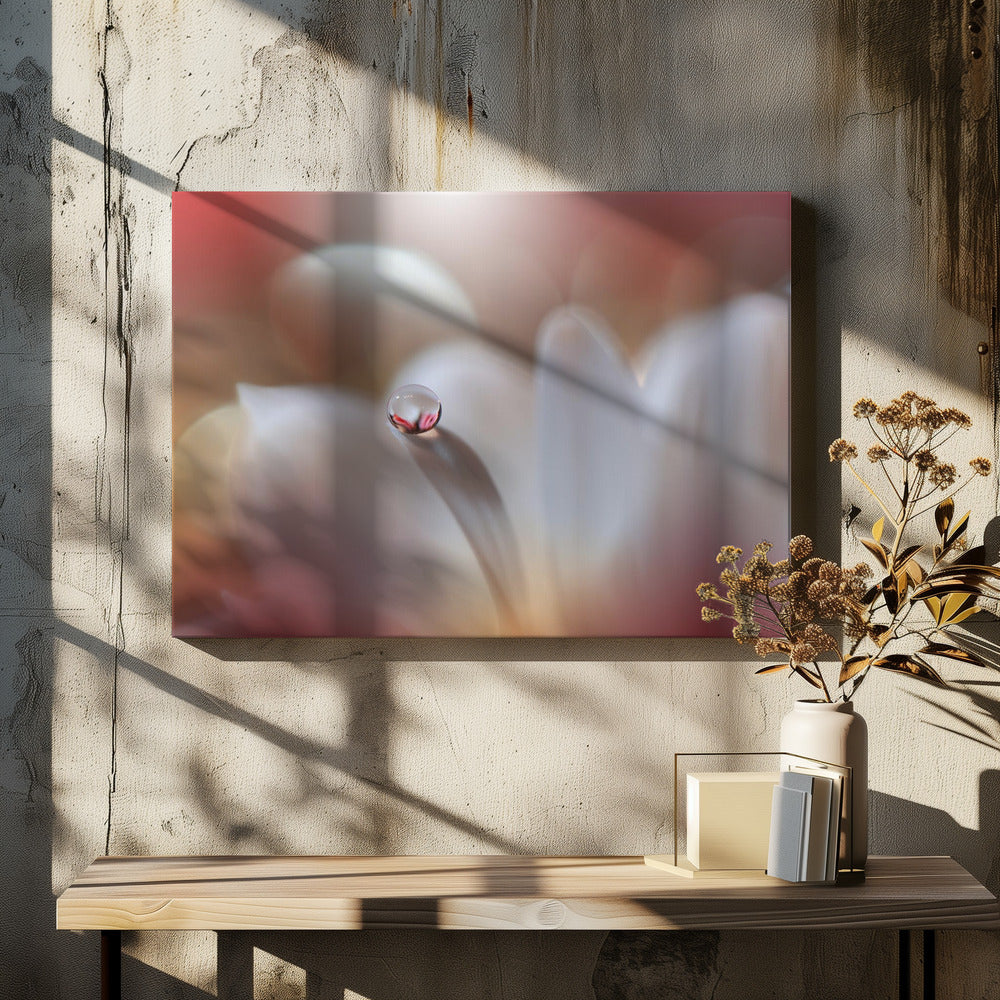 Raadsel.. | Canvas