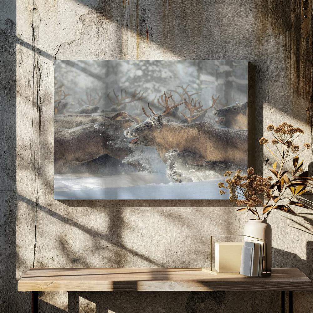 Rendieren III | Canvas