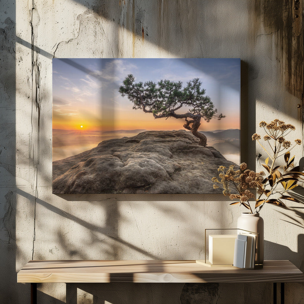 Oud grenen | Canvas