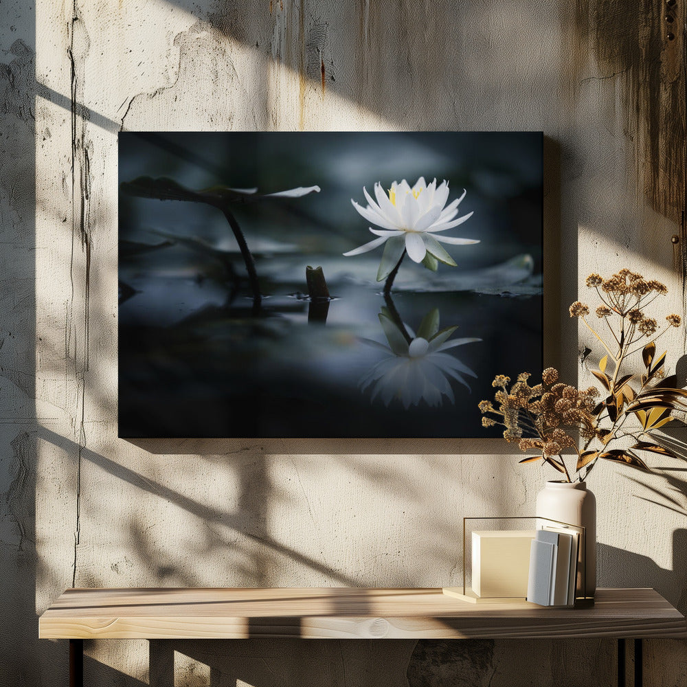 Reflection | Canvas