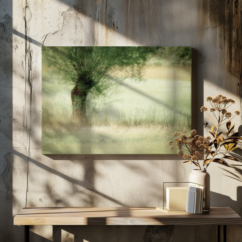 Wilg | Canvas