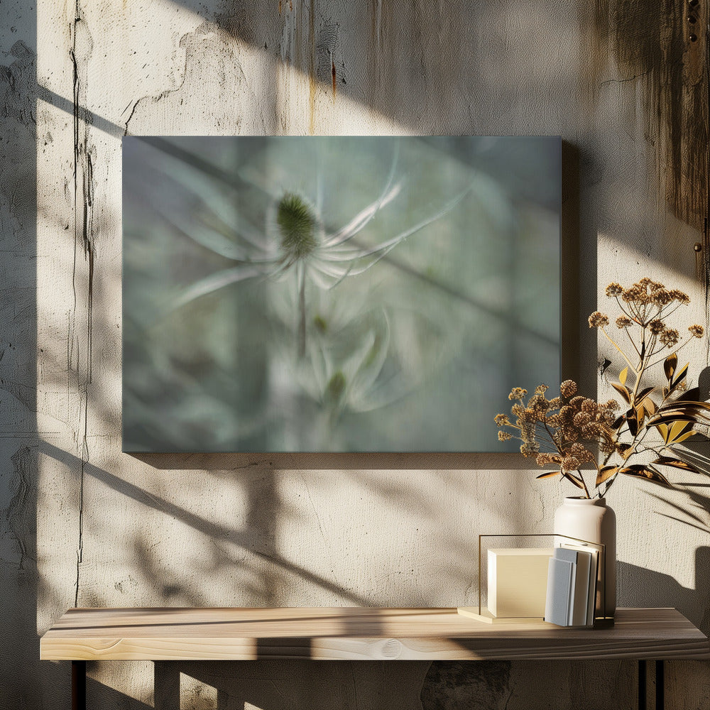 Kaardebol | Canvas