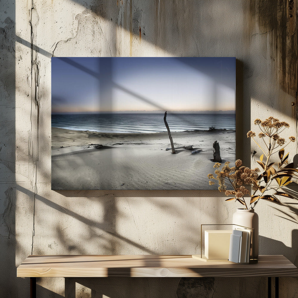 Reik naar de zon | Canvas