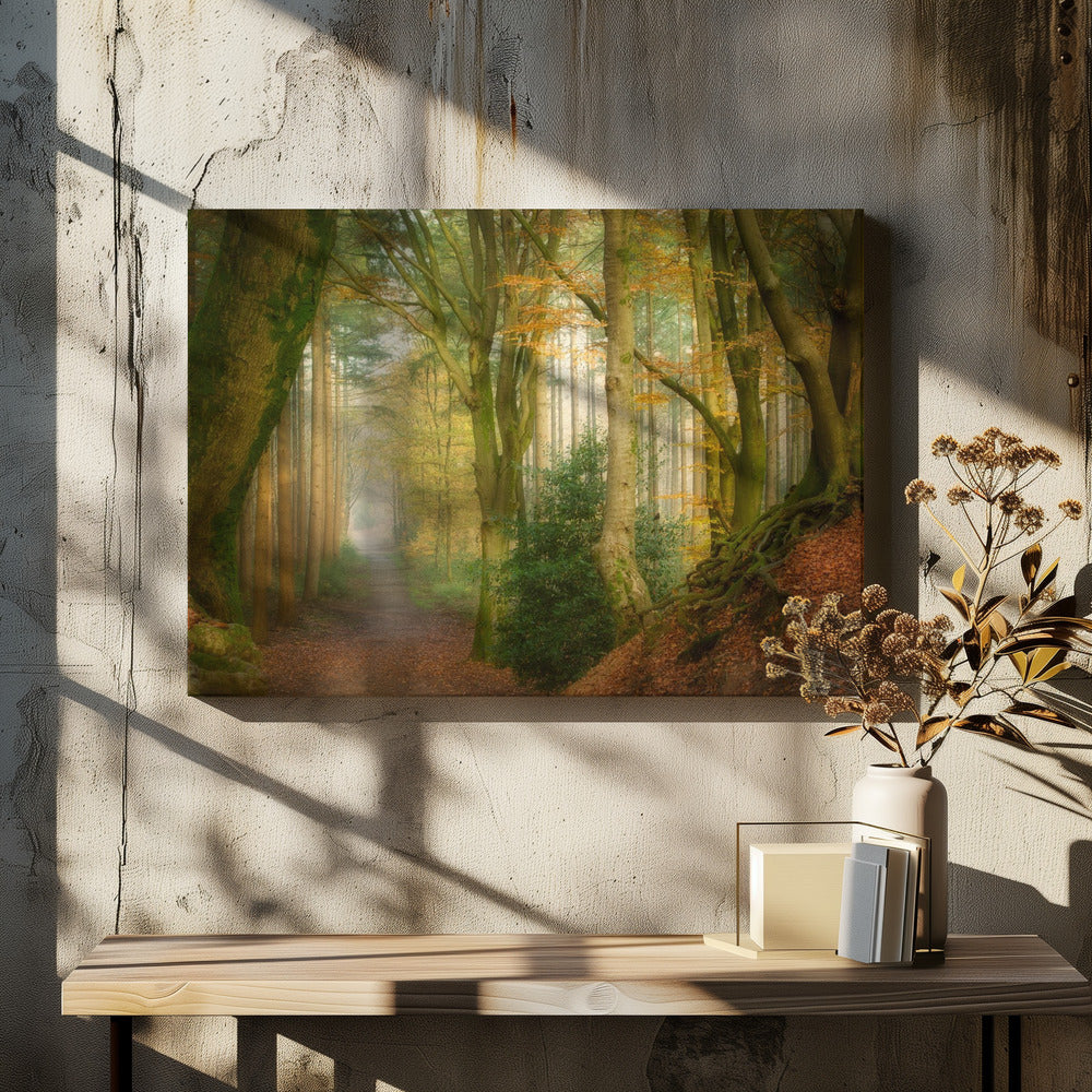 Volg de mist | Canvas