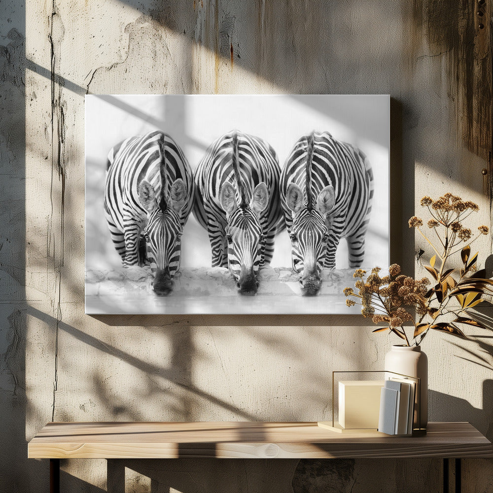 Zebra's | Canvas