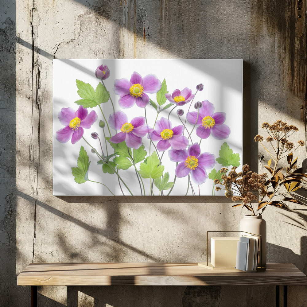 Anemoon 'Hadspen Abundance' | Canvas