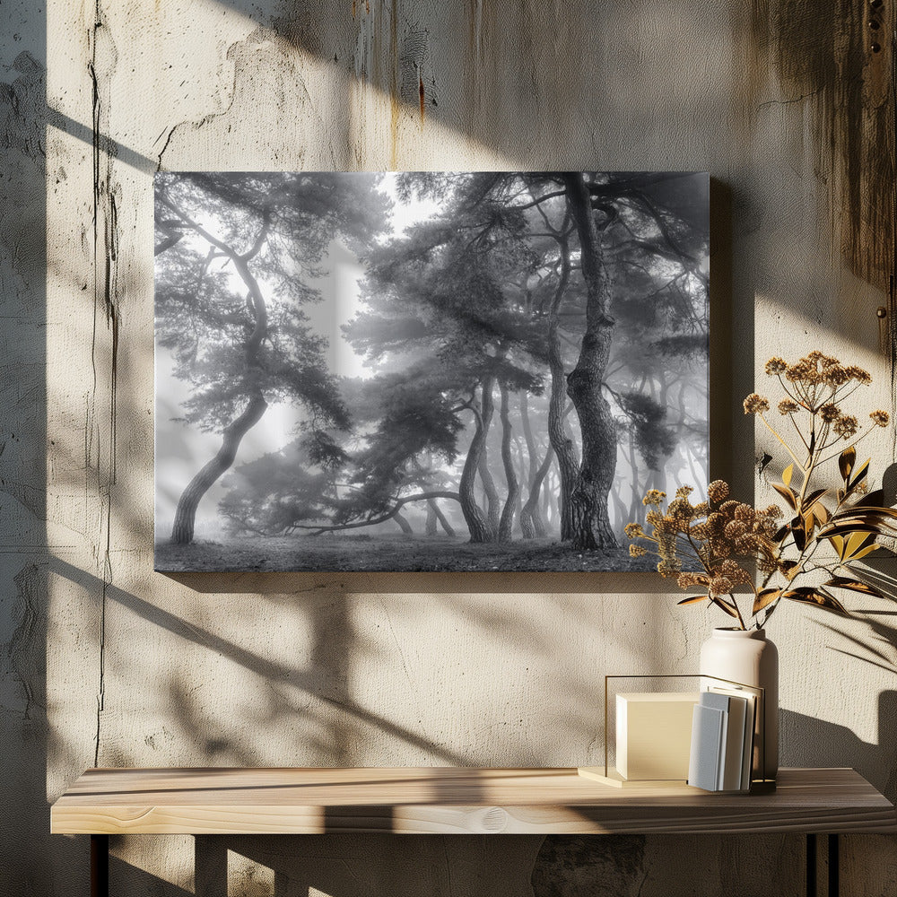 Honderd jaar volhouden | Canvas