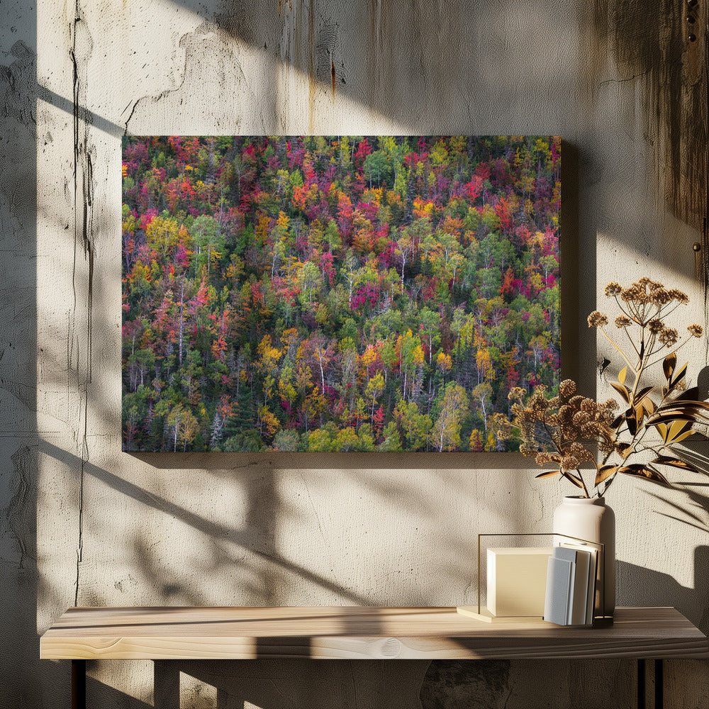 Kleurenpalet | Canvas