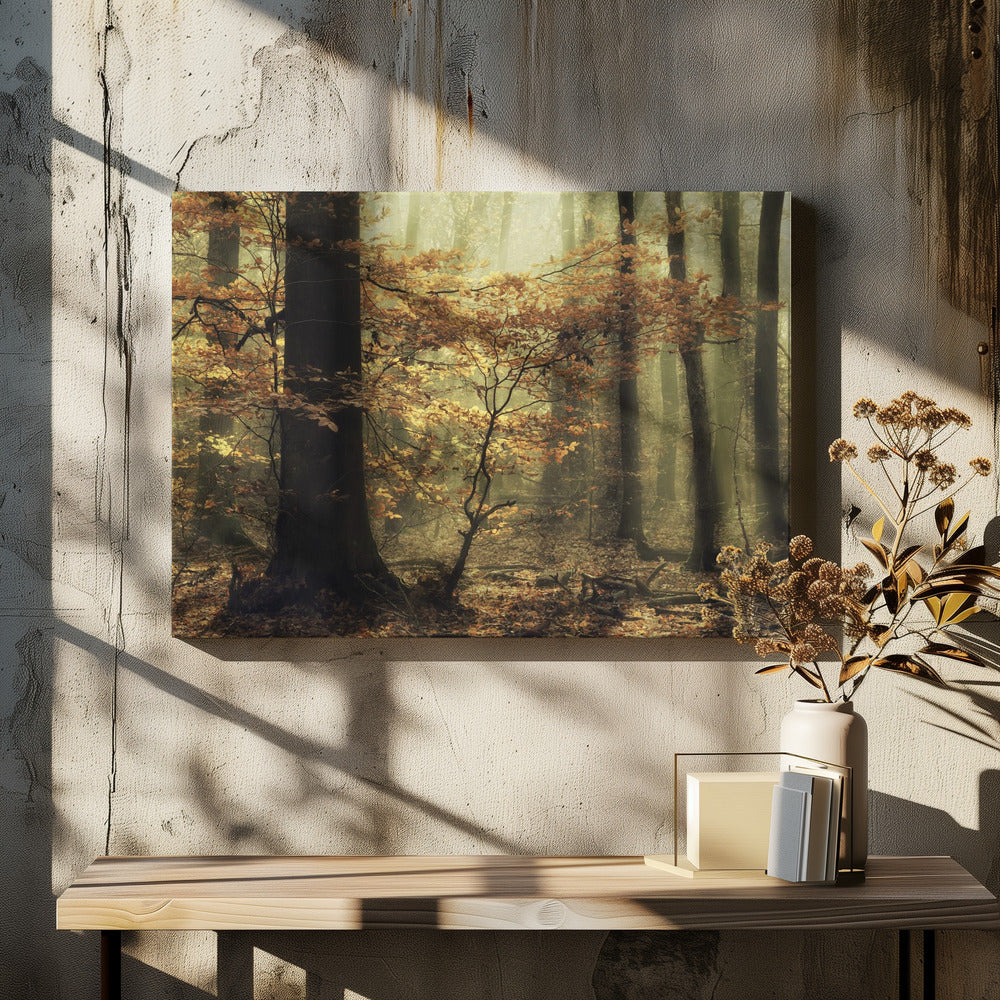 Zachte val | Canvas