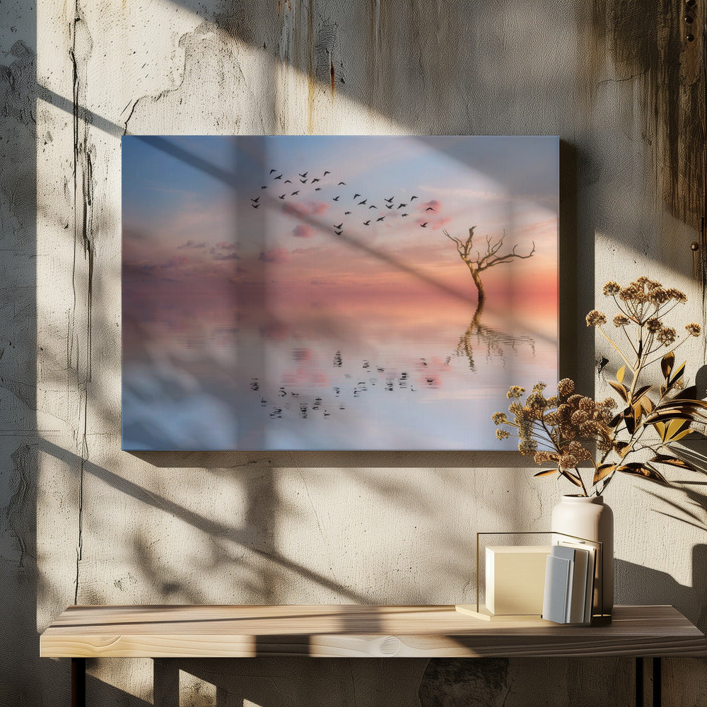 ST 006 | Canvas