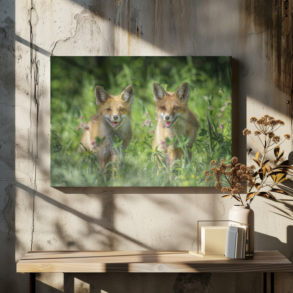 Broers | Canvas