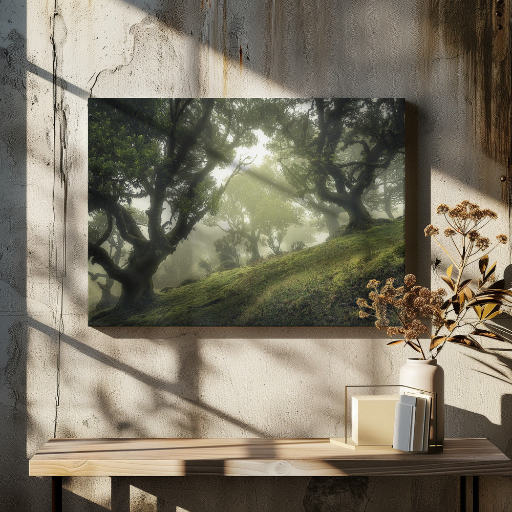 Betoverd Bos | Canvas
